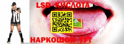 apvp Обнинск