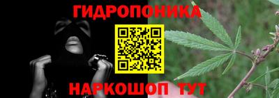 apvp Обнинск